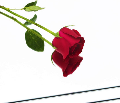 مرايا صالة الألعاب الرياضية المنزلية من روومينغ 