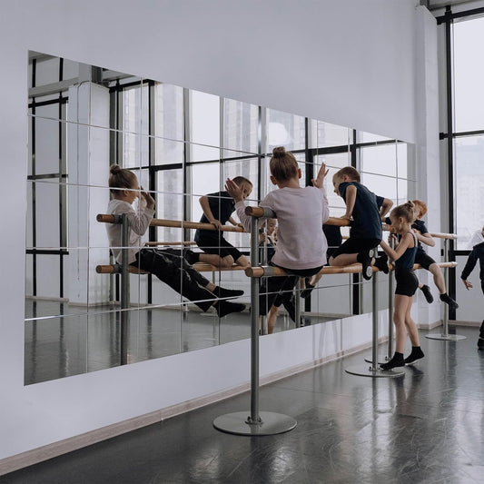 Ruomeng Home Gym Mirrors